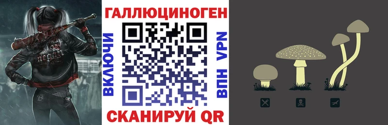 как найти   Конаково  Псилоцибиновые грибы мухоморы 